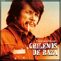 Chilenos de raza 